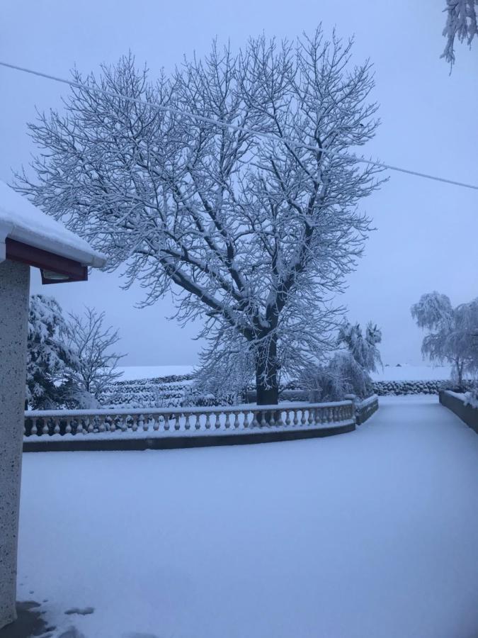 Lovely 2-Bed Cottage At The Foot Of The Mournes Newry Luaran gambar