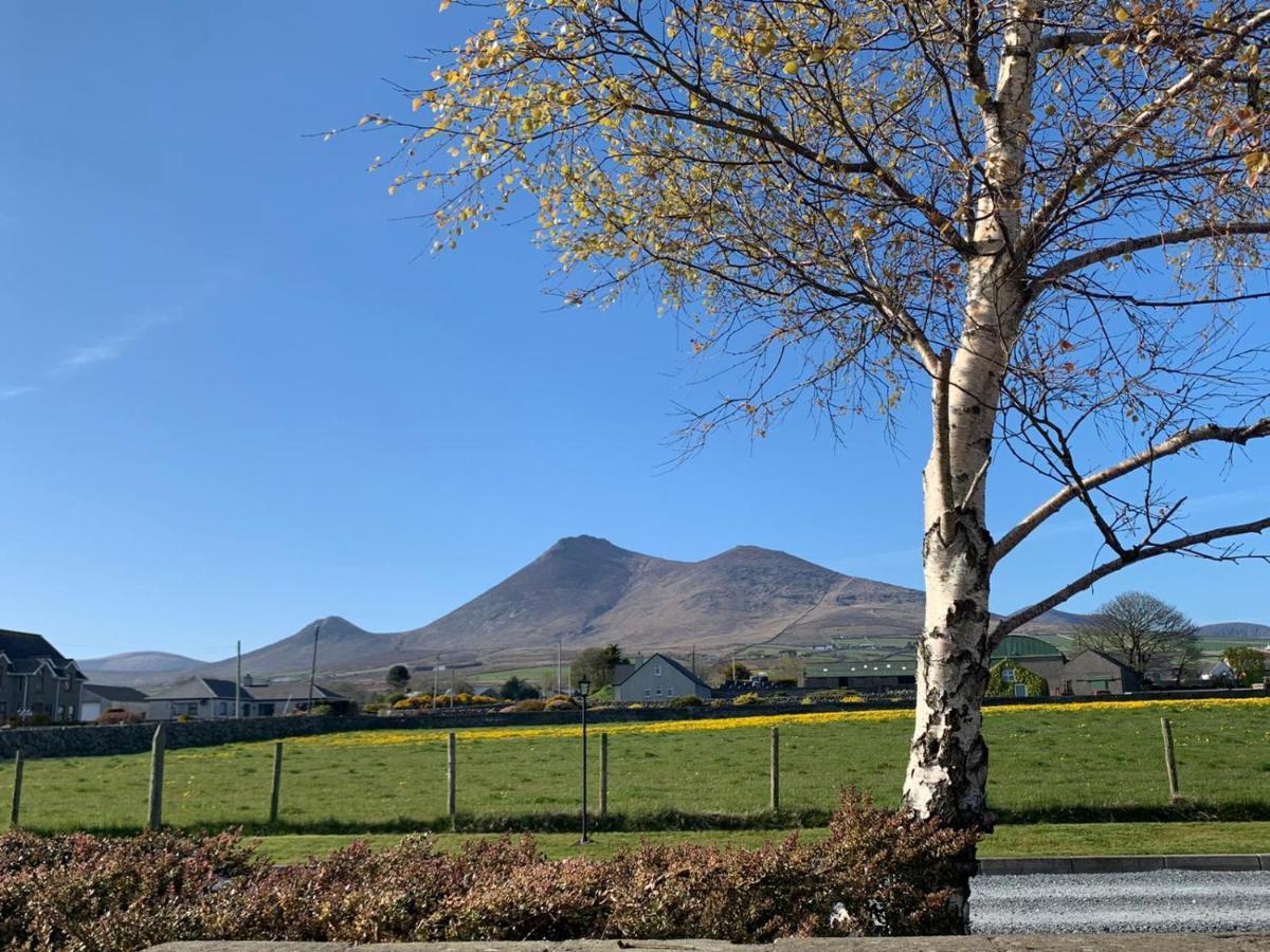 Lovely 2-Bed Cottage At The Foot Of The Mournes Newry Luaran gambar