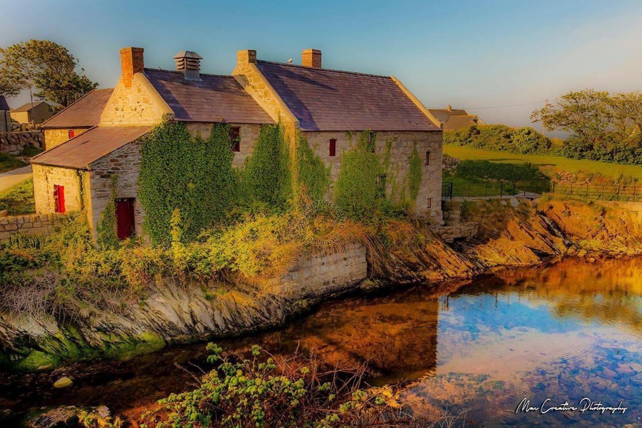 Lovely 2-Bed Cottage At The Foot Of The Mournes Newry Luaran gambar