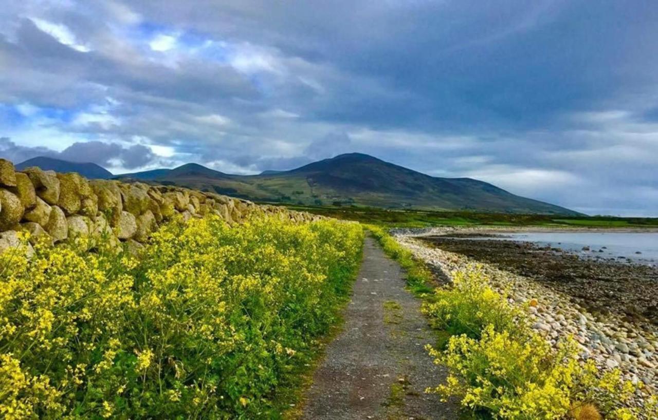 Lovely 2-Bed Cottage At The Foot Of The Mournes Newry Luaran gambar